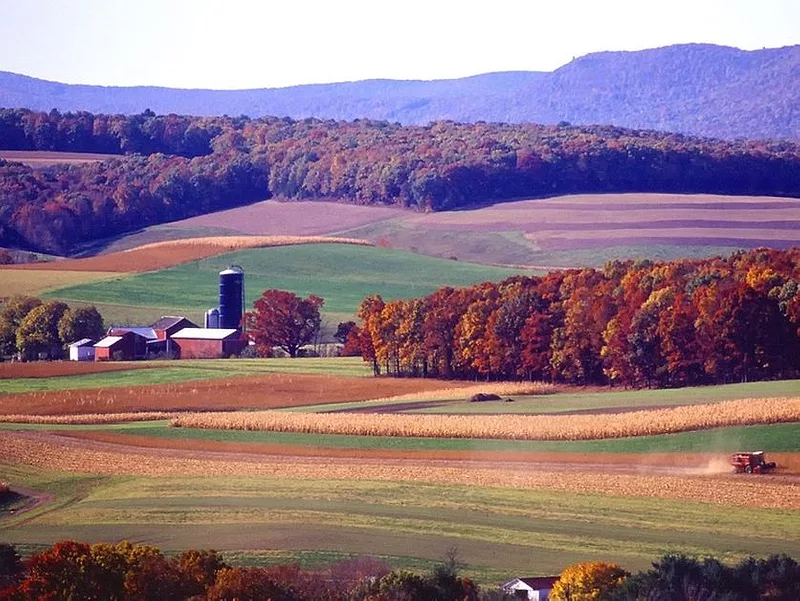 farm landscape.2