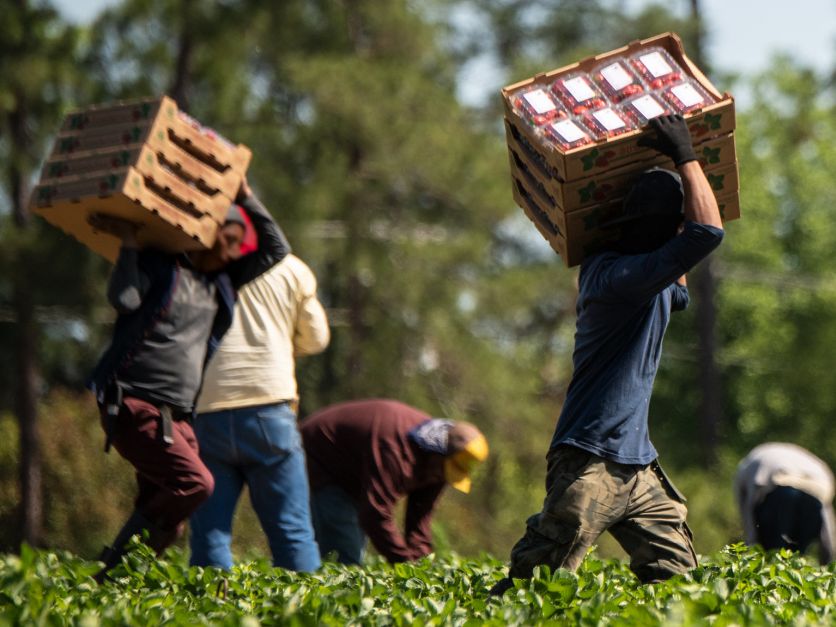 farmworkers USDA flickr