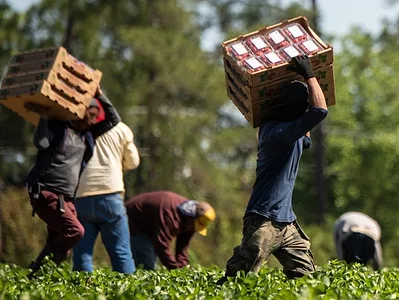 Workers with boxes (USDA shot)
