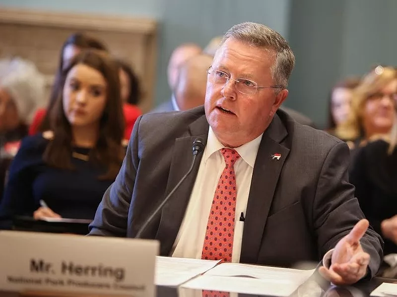 Herring-836