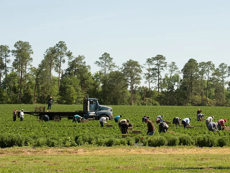 Ag labor