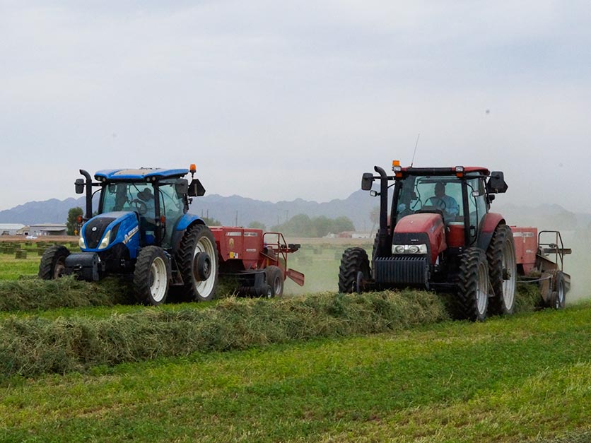 Two tractors baling hay