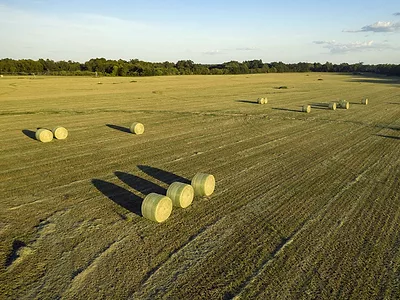 Hay bale
