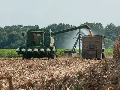 Combining corn