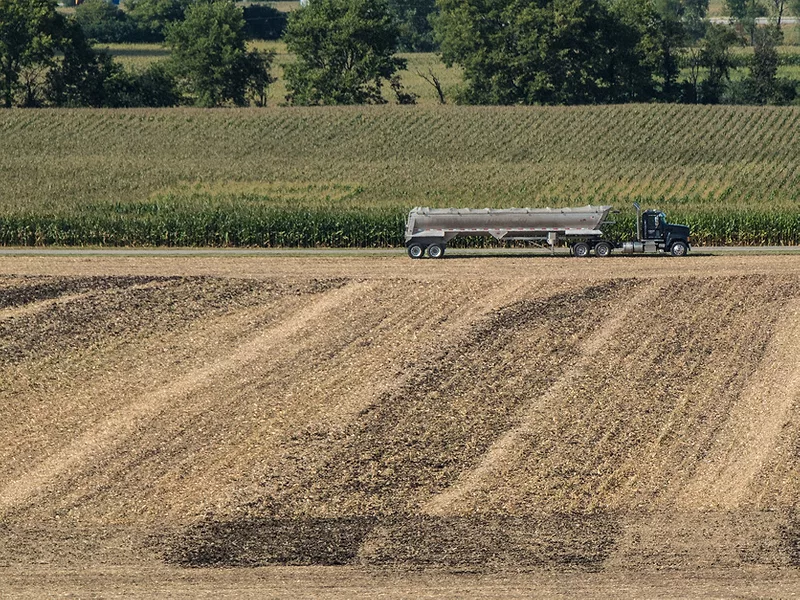 Corn field