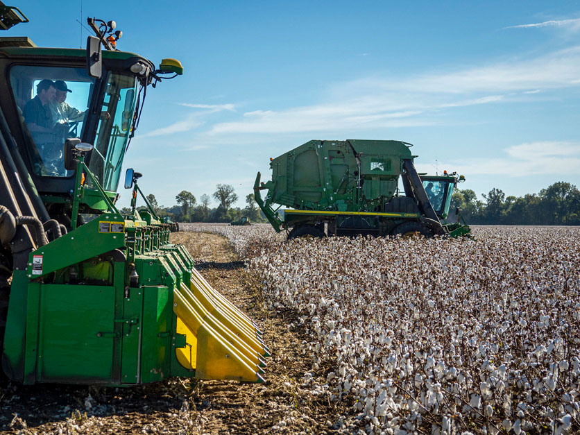 Ralph Lauren Foundation, Soil Health Institute announce $5M grant for  regenerative cotton practices | 2021-10-26 | Agri-Pulse Communications, Inc.