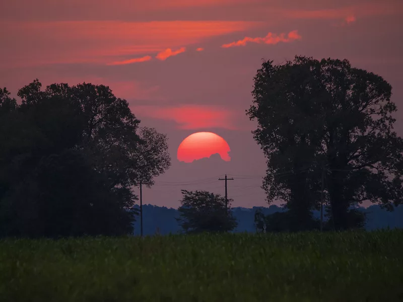 Farm sunrise