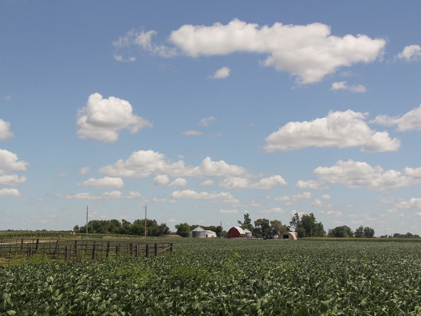 GROWMARK announces collaboration with InnerPlant for InnerSoy pilot program