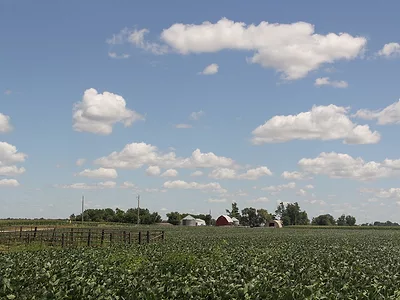 farmscape_USDA_soybeans_barn.jpg