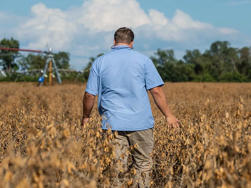 farmer-soybeans-back.jpg