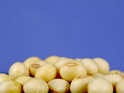 Soybeans