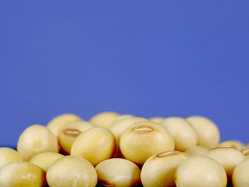 Soybeans