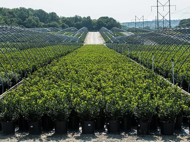 USDA_nursery.jpg