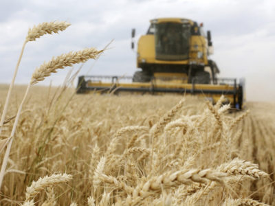 FAO photo of Ukraine wheat combine