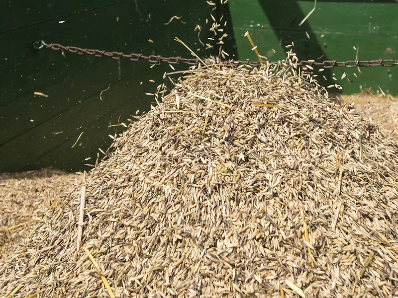 Oats
