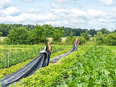 organic_farm.jpg