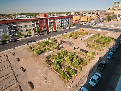 Urban farming