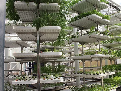 Vertical farming