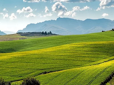 farmland
