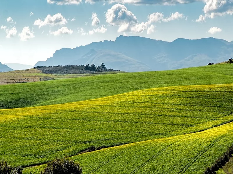 Farmland-836