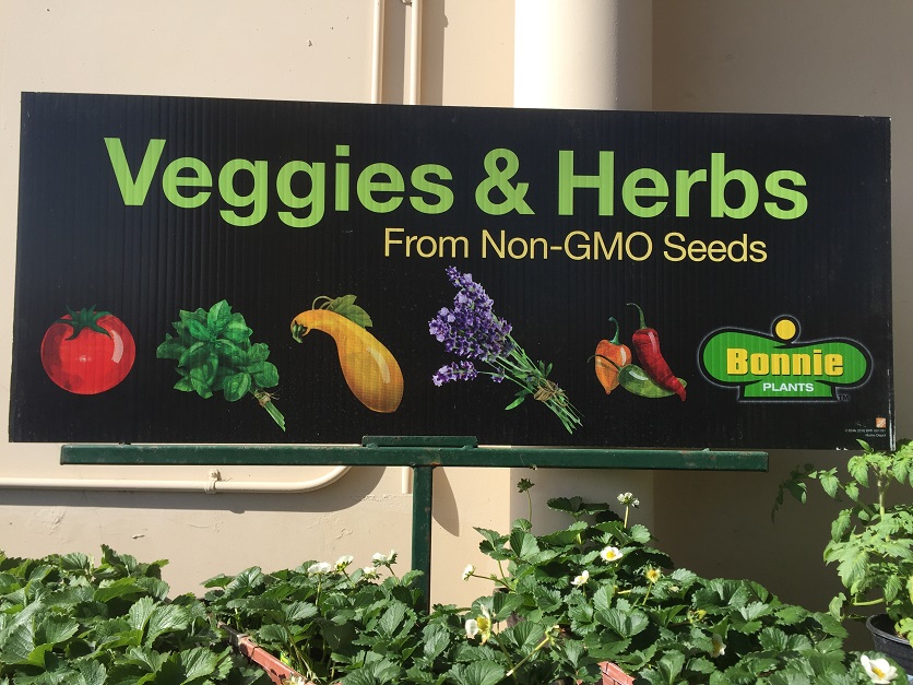 Non_GMO_Vegetables_food