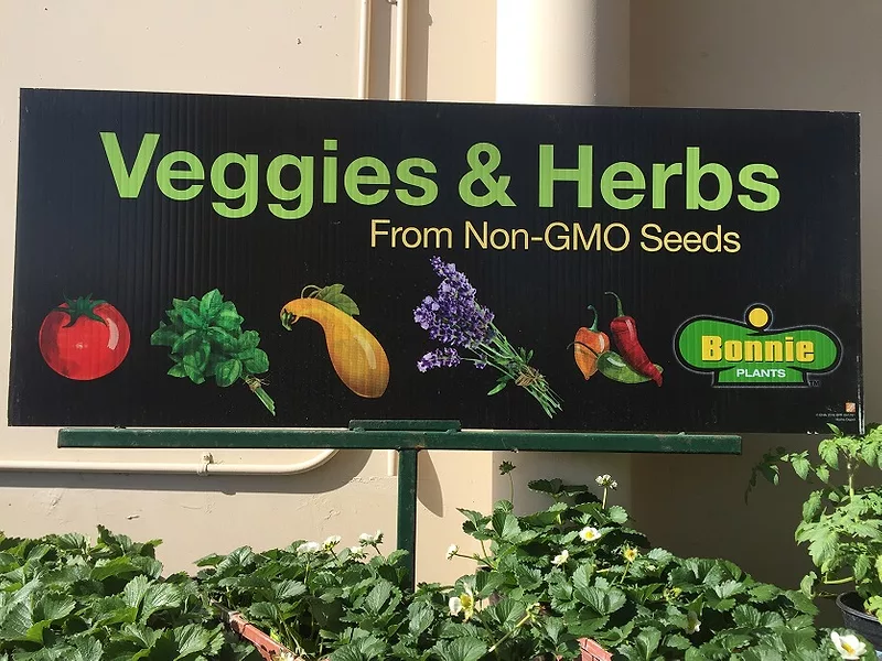 Non_GMO_Vegetables_food