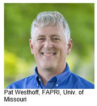 Pat Westhoff