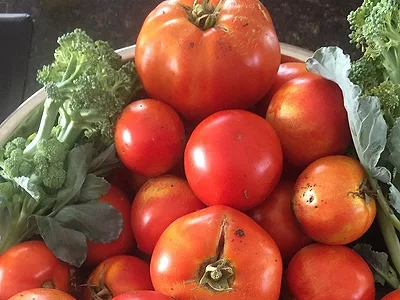 Tomatoes