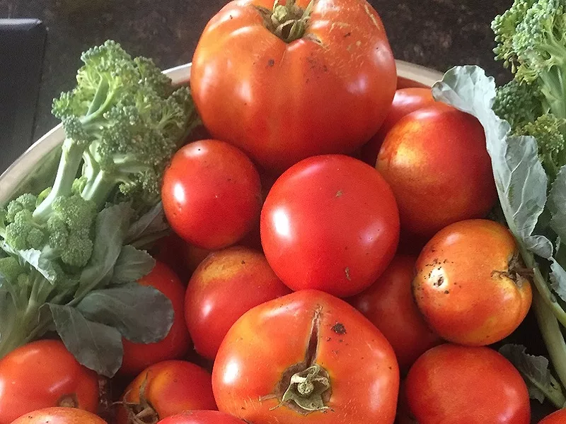 Tomatoes_Food1