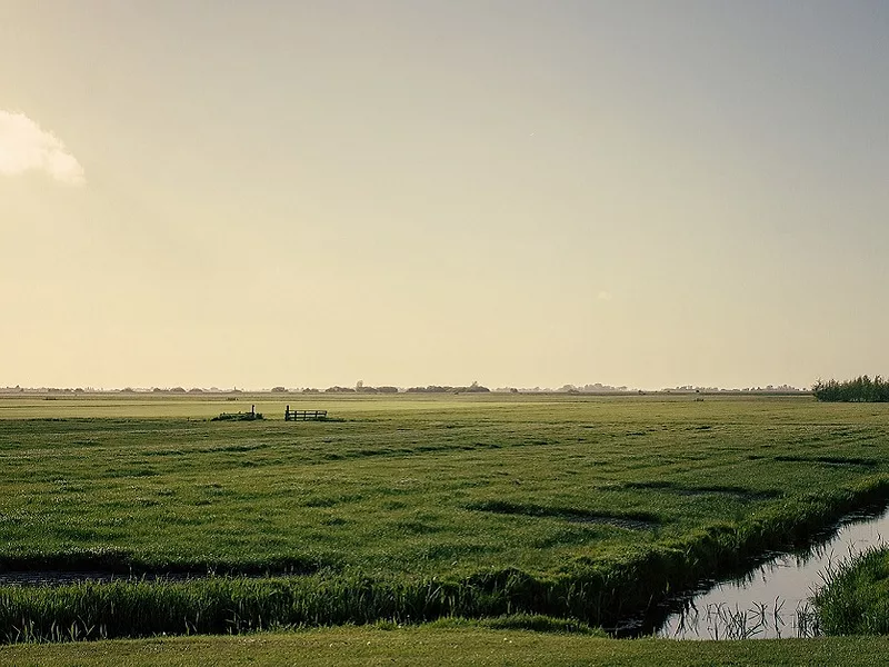 Wetlands-836