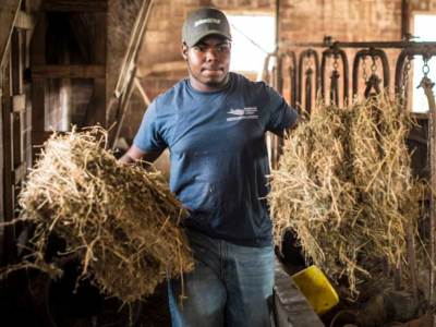 Black farmer chores hay