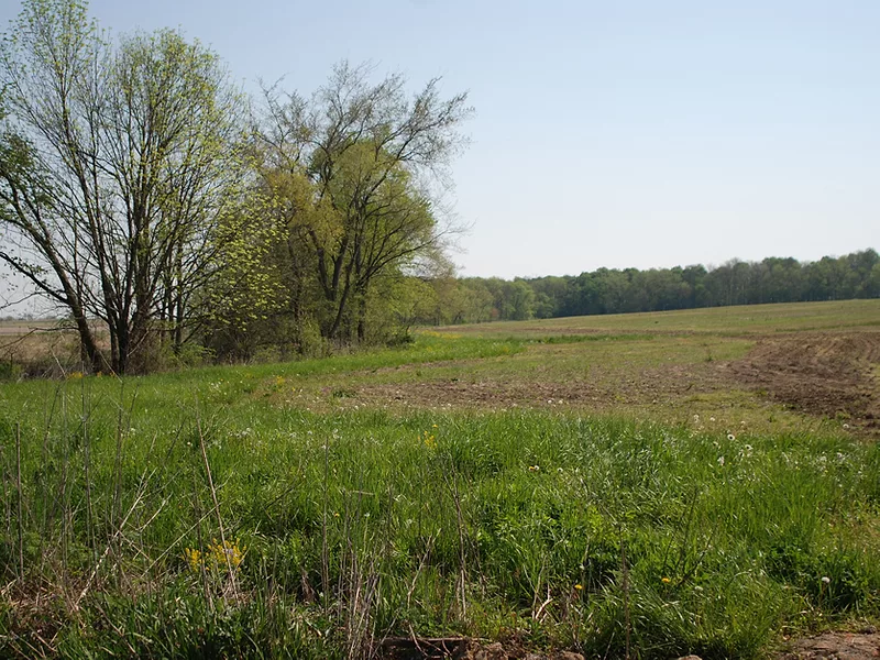 CRP