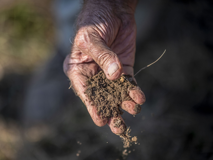 Dirt, soil