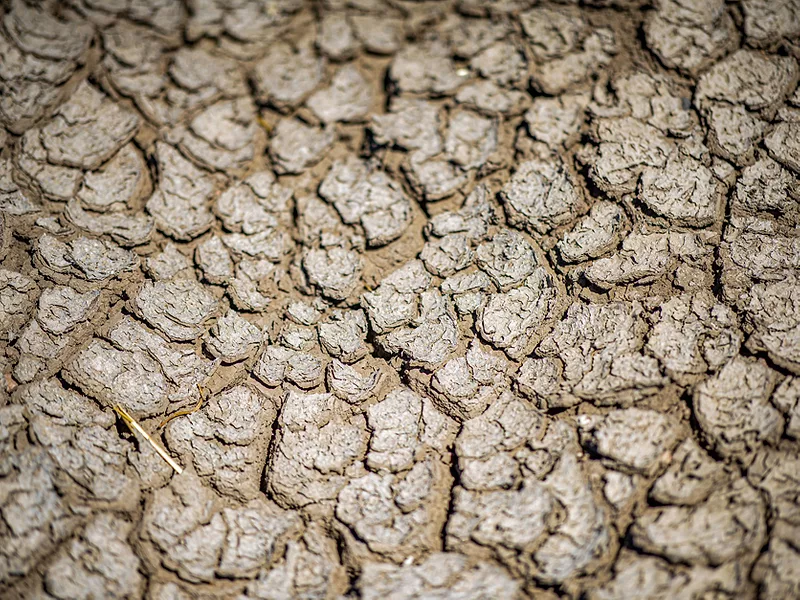 Drought