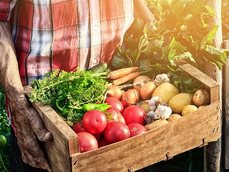World Food security