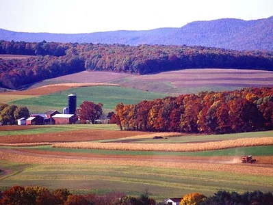 farming