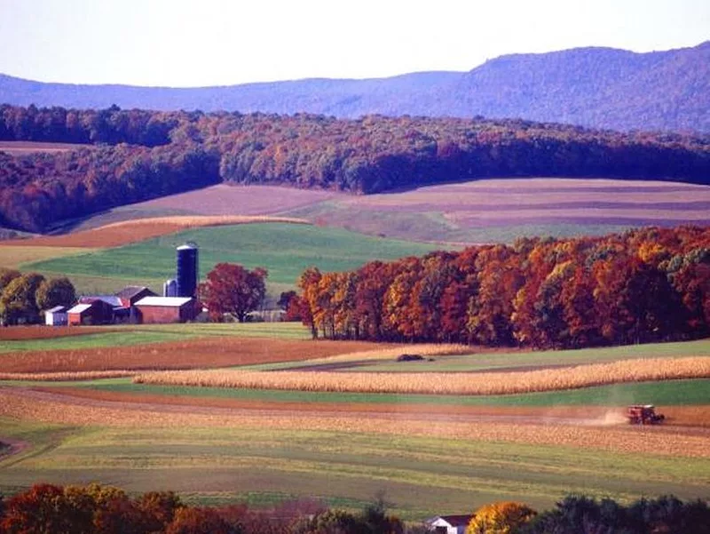 farming