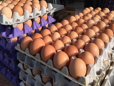 Eggs