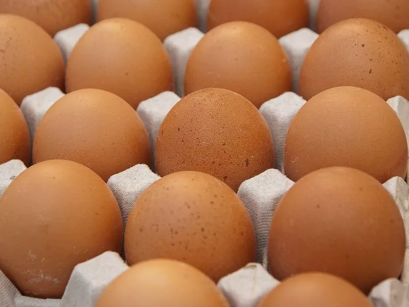 Egg carton