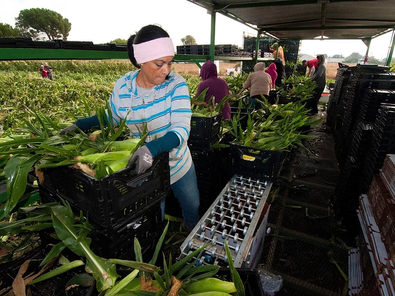 Farmworker