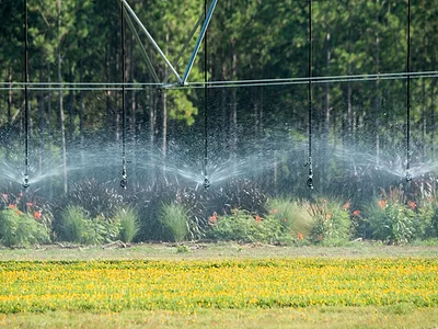 Irrigation