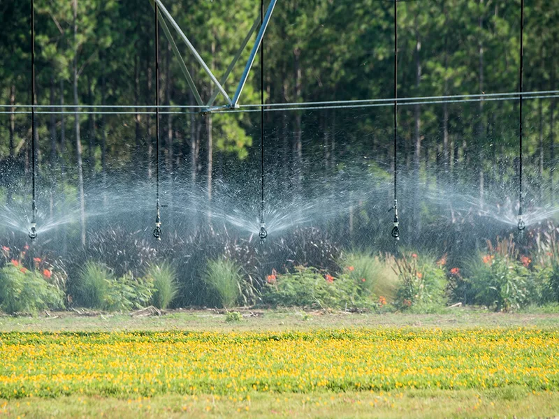 Irrigation