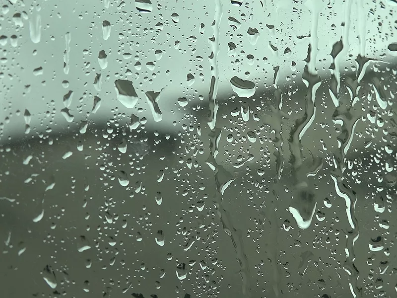 Rain