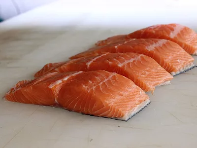 Salmon