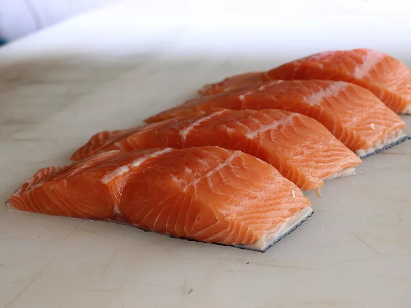 Salmon