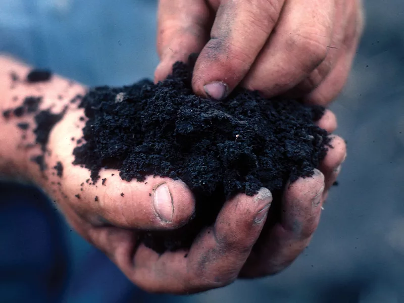 soil-health-836.jpg
