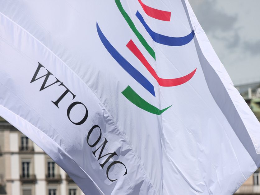 WTO reappoints Ngozi Okonjo-Iweala for a second term