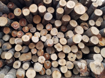 Wood and lumber