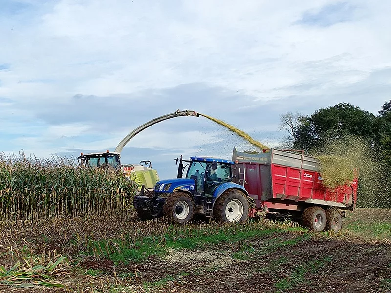Silage-bioeconomy-836