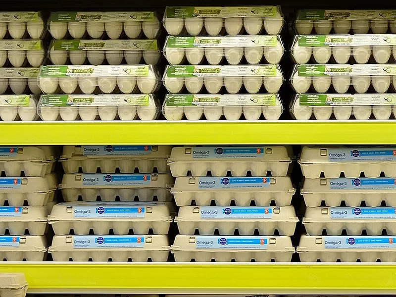 eggs-836